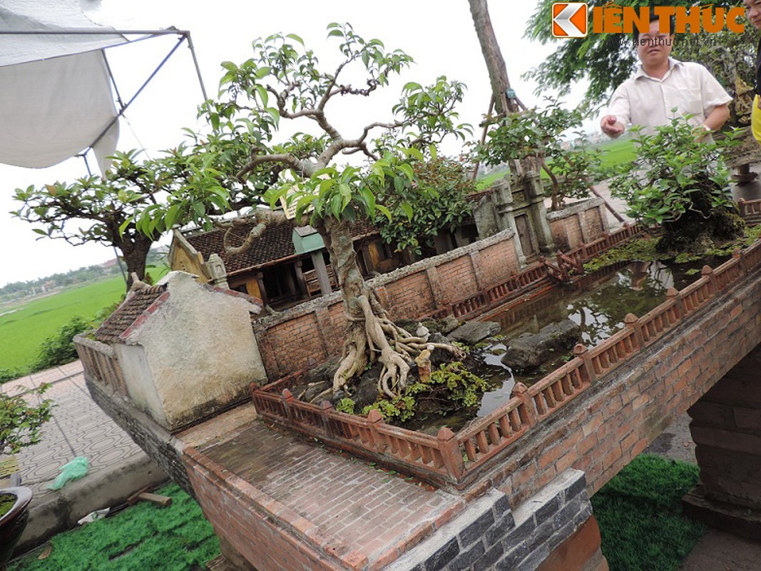 Tieu canh tu bonsai dep me hon cua nghe nhan Hai Phong-Hinh-11